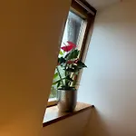 Pod Borowa * Jedlina-Zdroj