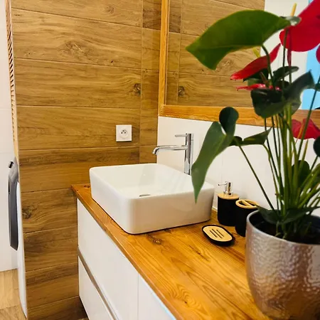 Pod Borowa * 耶德利纳-兹德鲁伊