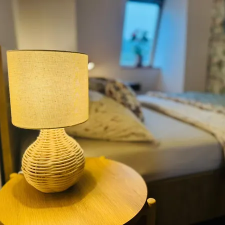 Pod Borowa 公寓 耶德利纳-兹德鲁伊