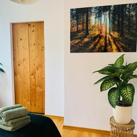 Pod Borowa * 耶德利纳-兹德鲁伊