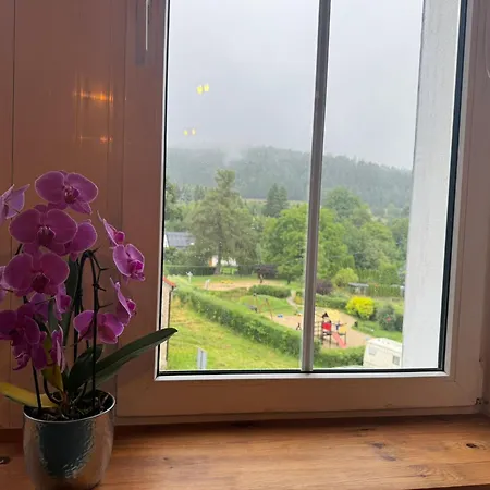 公寓 Pod Borowa 耶德利纳-兹德鲁伊