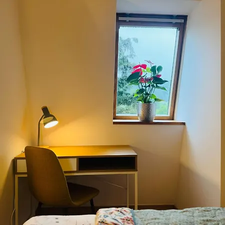 Pod Borowa 耶德利纳-兹德鲁伊