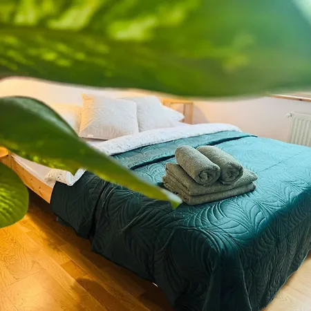 Pod Borowa 公寓 耶德利纳-兹德鲁伊