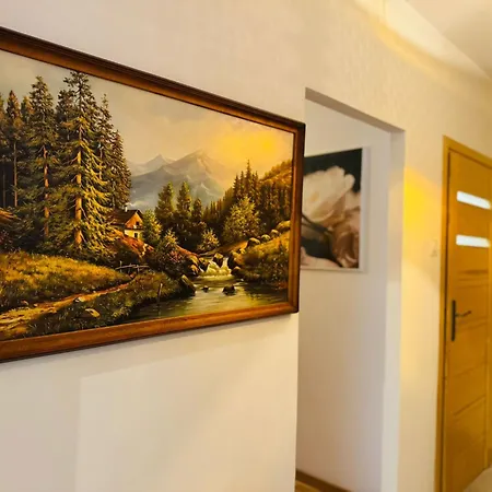 公寓 Pod Borowa 耶德利纳-兹德鲁伊