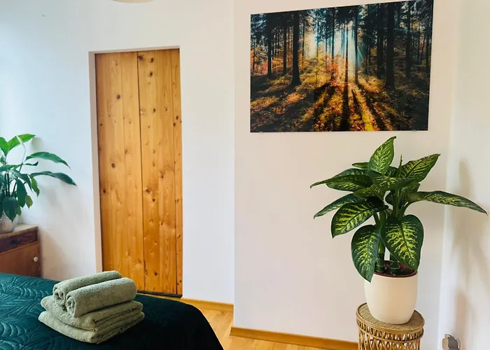 Pod Borowa * Jedlina-Zdroj