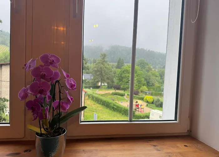 Appartamento Pod Borowa Jedlina-Zdroj