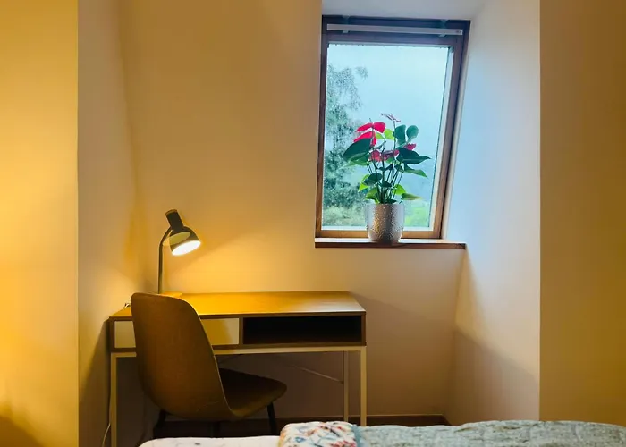 Pod Borowa Jedlina-Zdroj