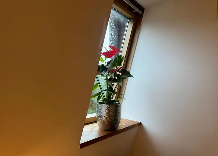 Pod Borowa * Jedlina-Zdroj